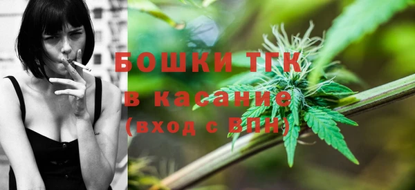 МДПВ Алексин
