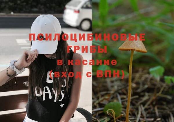 не бодяженный Алзамай